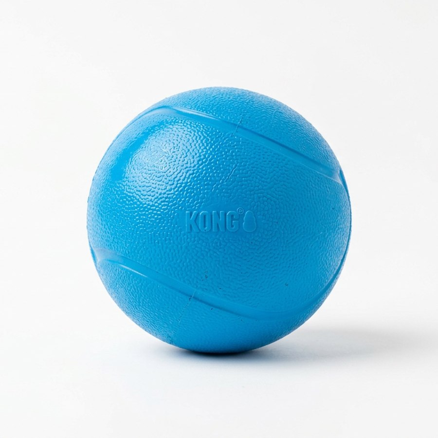 Brinquedo Bola Maciça de Borracha — produto disponível na loja Patas & Companhia